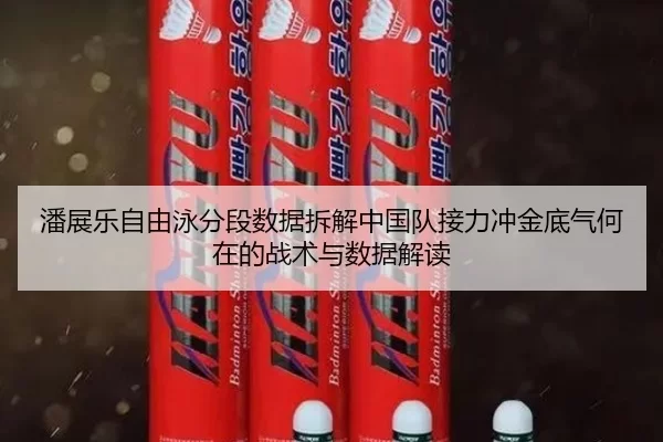 潘展乐自由泳分段数据拆解中国队接力冲金底气何在的战术与数据解读