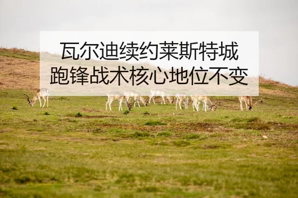 wa-er-di-xu-yue-lai-si-te-cheng-pao-feng-zhan-shu-he-xin-di-wei-bu-bian-2-758.jpg