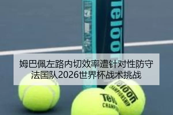 mu-ba-pei-zuo-lu-nei-qie-xiao-lv-zao-zhen-dui-xing-fang-shou-fa-guo-dui-shi-jie-bei-zhan-shu-tiao-zhan-2-325.jpg